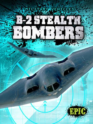 cover image of B-2 Stealth Bombers